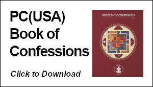 Book of Confessions button