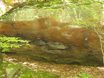 Moccasin
Site in the Piney Creek Ravine